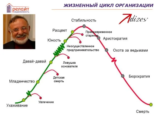 ЖИЗНЕННЫЙ ЦИКЛ ОРГАНИЗАЦИИ