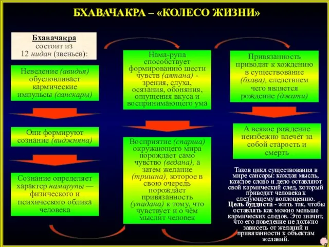 БХАВАЧАКРА – «КОЛЕСО ЖИЗНИ» Неведение (авидья) обусловливает кармические импульсы (санскары) Они формируют