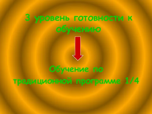 3 уровень готовности к обучению Обучение по традиционной программе 1/4