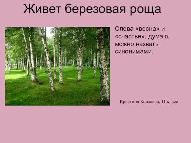 Живет березовая роща Слова «весна» и «счастье», думаю, можно назвать синонимами. Кристина Ковалева, 11 класс