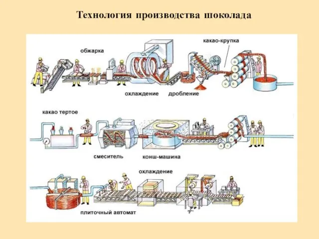 Технология производства шоколада