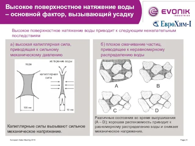 European Sales Meeting 2010 Page | Высокое поверхностное натяжение воды – основной