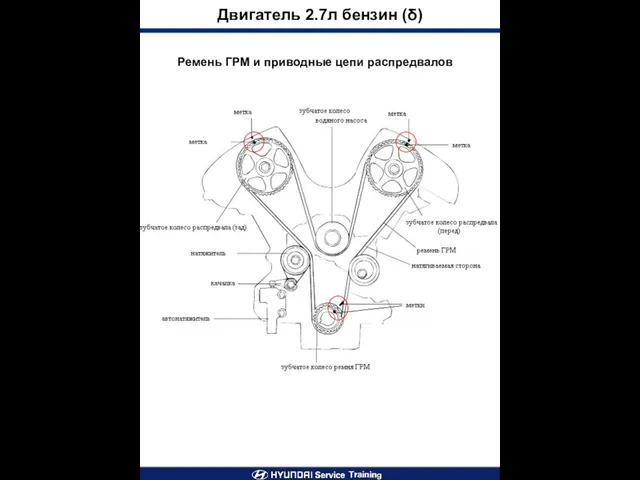 Двигатель 2.7л бензин (δ) Ремень ГРМ и приводные цепи распредвалов