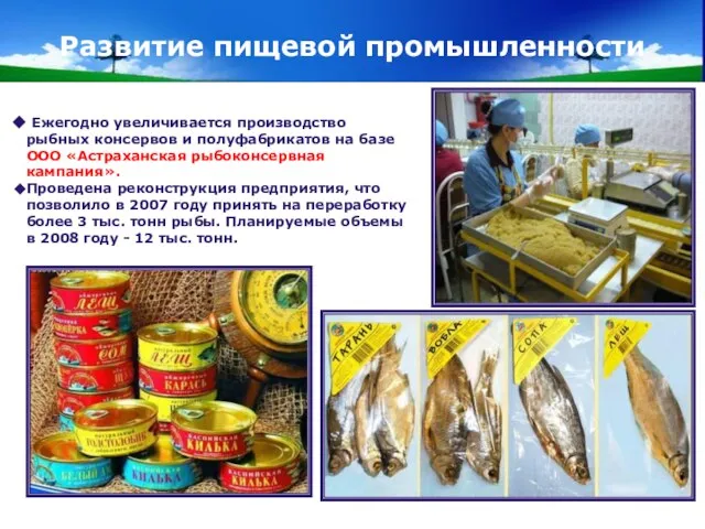 www.themegallery.com Company Logo Развитие пищевой промышленности Ежегодно увеличивается производство рыбных консервов и