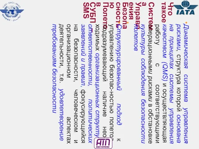Что такое Система Управления Безопасностью Полетов СУБП – SMS Динамическая система управления