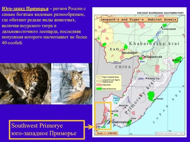 Southwest Primorye юго-западное Приморье Юго-запад Приморья – регион России с самым богатым