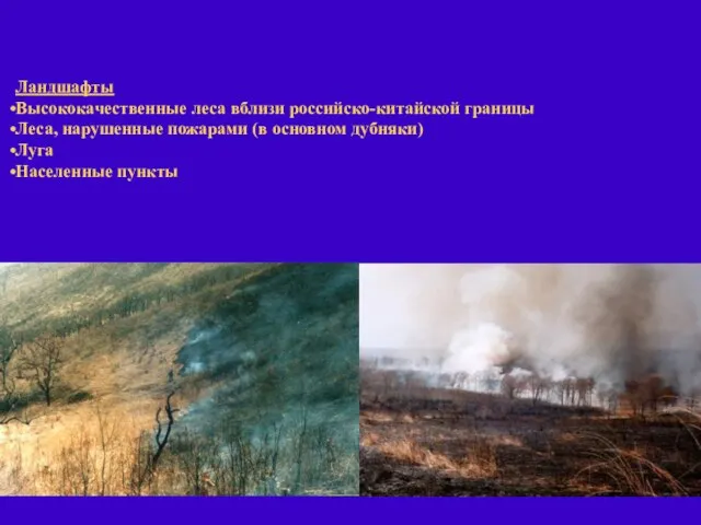 Ландшафты Высококачественные леса вблизи российско-китайской границы Леса, нарушенные пожарами (в основном дубняки) Луга Населенные пункты