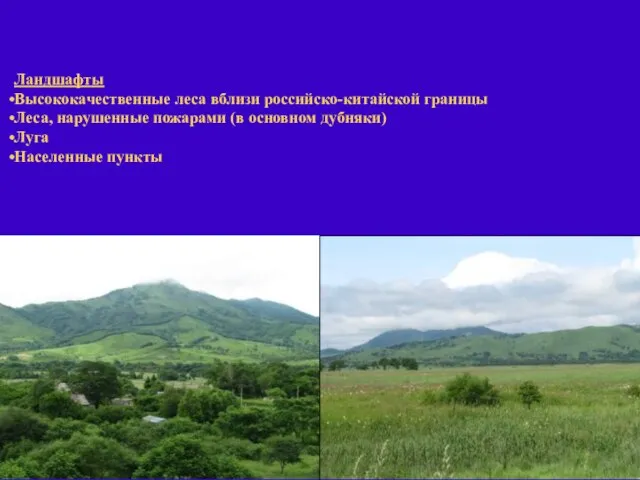 Ландшафты Высококачественные леса вблизи российско-китайской границы Леса, нарушенные пожарами (в основном дубняки) Луга Населенные пункты
