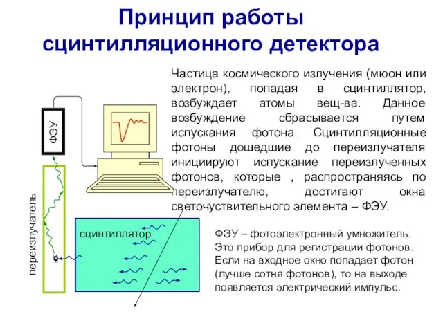 Принцип работы сцинтилляционного детектора Частица космического излучения (мюон или электрон), попадая в
