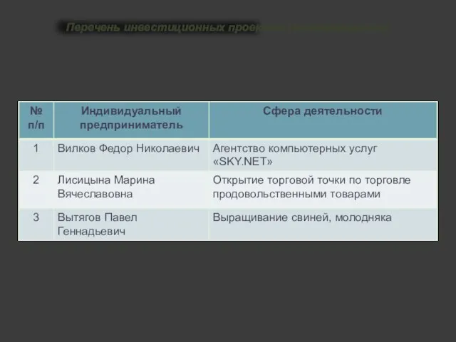 Перечень инвестиционных проектов (самозанятость)