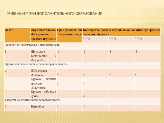 УЧЕБНЫЙ ПЛАН ДОПОЛНИТЕЛЬНОГО ОБРАЗОВАНИЯ