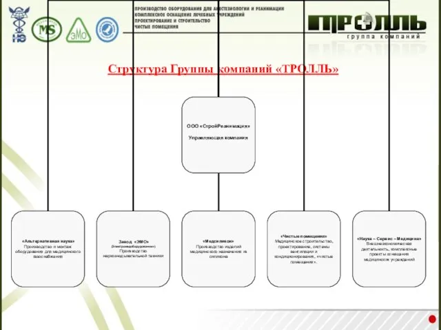 Структура Группы компаний «ТРОЛЛЬ»