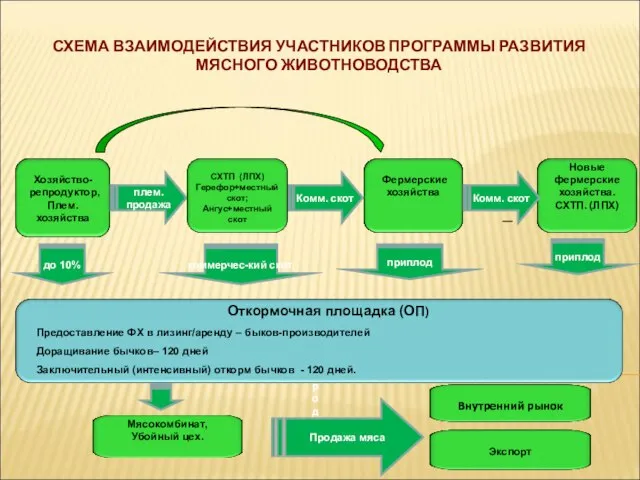 СХЕМА ВЗАИМОДЕЙСТВИЯ УЧАСТНИКОВ ПРОГРАММЫ РАЗВИТИЯ МЯСНОГО ЖИВОТНОВОДСТВА плем. продажа .продажа Комм. скот