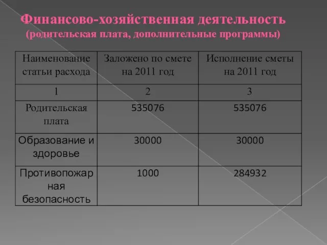 Финансово-хозяйственная деятельность (родительская плата, дополнительные программы)