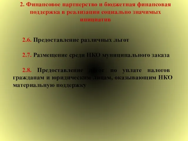 2. Финансовое партнерство и бюджетная финансовая поддержка в реализации социально значимых инициатив