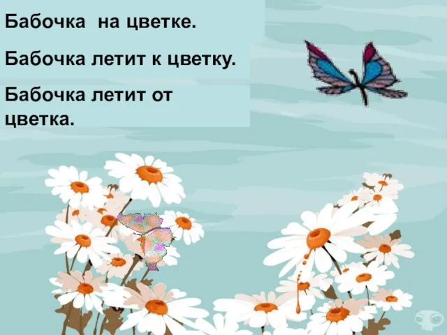 Бабочка на цветке. Бабочка летит к цветку. Бабочка летит от цветка.