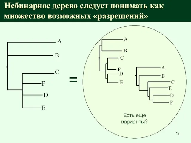 Небинарное дерево следует понимать как множество возможных «разрешений» = Есть еще варианты?