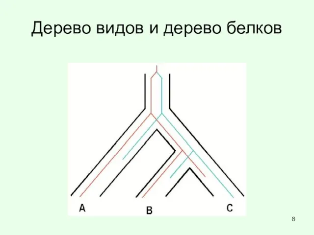 Дерево видов и дерево белков