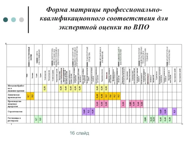 16 слайд Форма матрицы профессионально-квалификационного соответствия для экспертной оценки по ВПО