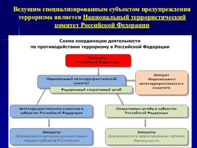 Ведущим специализированным субъектом предупреждения терроризма является Национальный террористический комитет Российской Федерации