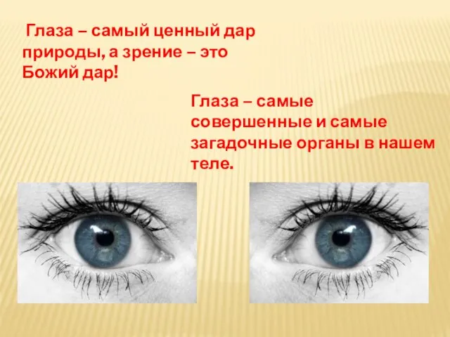 Глаза – самые совершенные и самые загадочные органы в нашем теле. Глаза