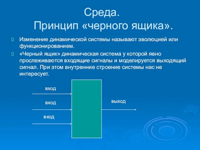 Среда. Принцип «черного ящика». Изменение динамической системы называют эволюцией или функционированием. «Черный