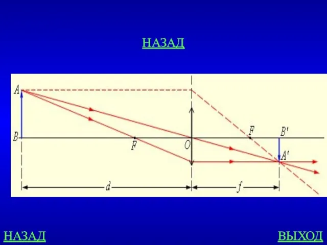 НАЗАД ВЫХОД НАЗАД