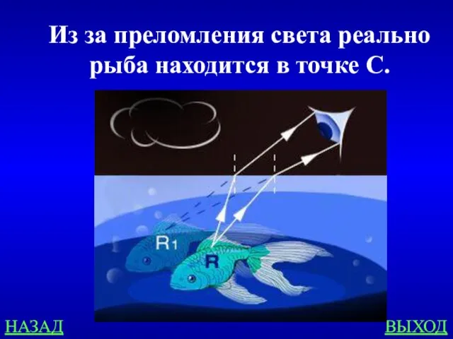 НАЗАД ВЫХОД Из за преломления света реально рыба находится в точке С.