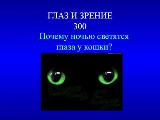 ГЛАЗ И ЗРЕНИЕ 300 Почему ночью светятся глаза у кошки?