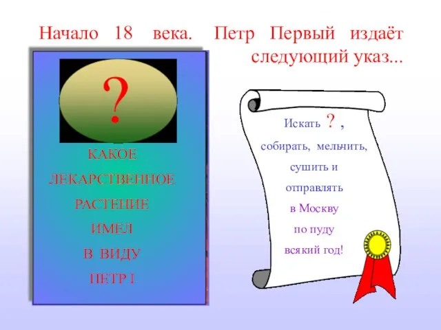 Петр Первый издаёт следующий указ... КАКОЕ ЛЕКАРСТВЕННОЕ РАСТЕНИЕ ИМЕЛ В ВИДУ ПЕТР I Начало 18 века.