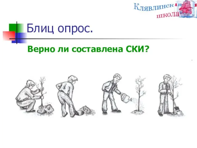 Блиц опрос. Верно ли составлена СКИ?