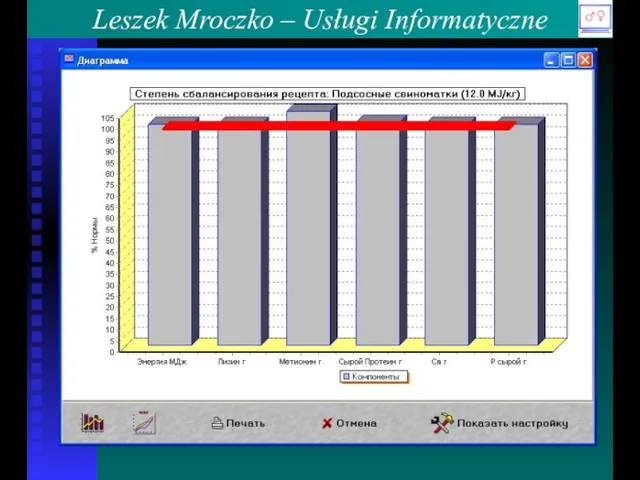 Leszek Mroczko – Usługi Informatyczne