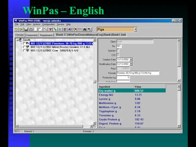 WinPas – English