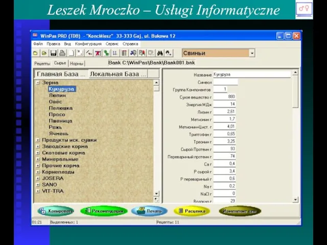 Leszek Mroczko – Usługi Informatyczne