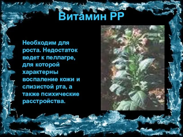 Витамин PP Необходим для роста. Недостаток ведет к пеллагре, для которой характерны