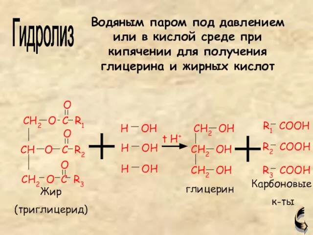 Жир (триглицерид) глицерин Карбоновые к-ты Гидролиз Водяным паром под давлением или в