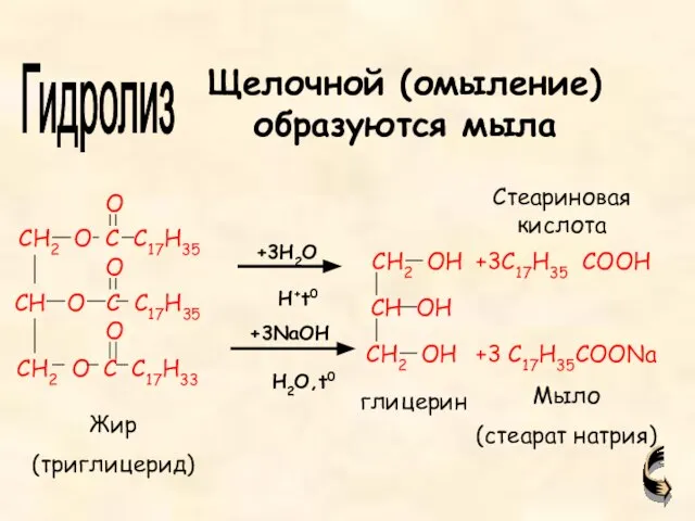 +3C17H35 COOH +3 C17H35COONa Жир (триглицерид) глицерин Мыло (стеарат натрия) Гидролиз Щелочной
