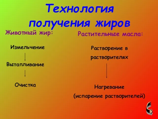 Животный жир: Измельчение Вытапливание Очистка Растительные масла: Растворение в растворителях Нагревание (испарение растворителей) Технология получения жиров