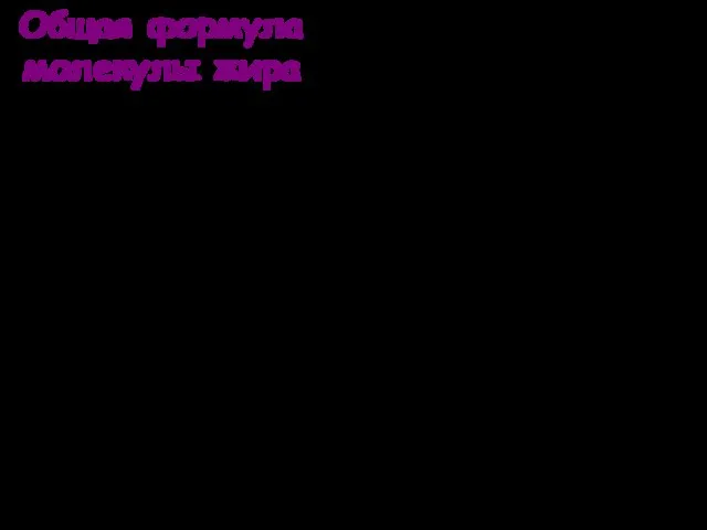 В состав жира входит 5-8 остатков различных кислот (в сливочном масле их