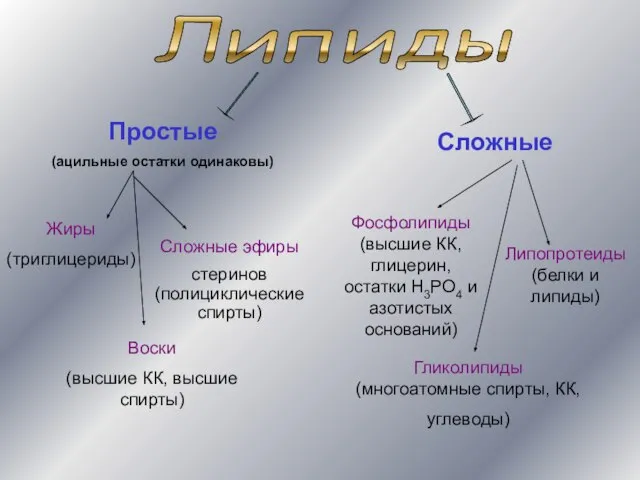 Липиды Простые (ацильные остатки одинаковы) Сложные Жиры (триглицериды) Воски (высшие КК, высшие