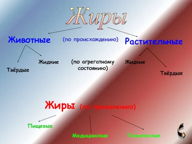 Животные Растительные Жиры Твёрдые Жидкие Твёрдые Жидкие Жиры (по применению) Пищевые Медицинские