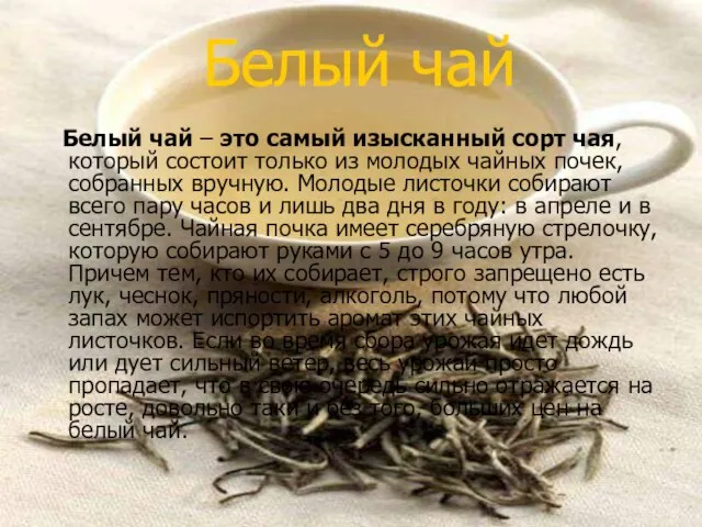 Белый чай Белый чай – это самый изысканный сорт чая, который состоит