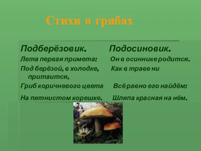 Стихи о грибах Подберёзовик. Подосиновик. Лета первая примета: Он в осиннике родится.