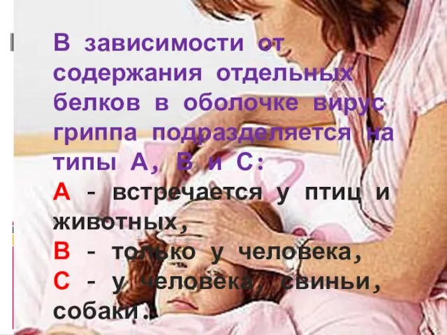 В зависимости от содержания отдельных белков в оболочке вирус гриппа подразделяется на