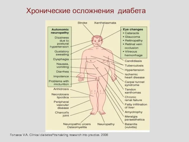 Хронические осложнения диабета Fonseca V.A. Clinical diabetes^translating research into practice. 2006