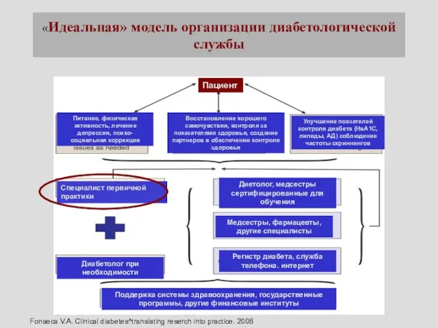 «Идеальная» модель организации диабетологической службы Пациент Питание, физическая активность, лечение депрессии, психо-социальная