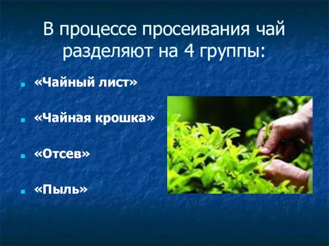 В процессе просеивания чай разделяют на 4 группы: «Чайный лист» «Чайная крошка» «Отсев» «Пыль»