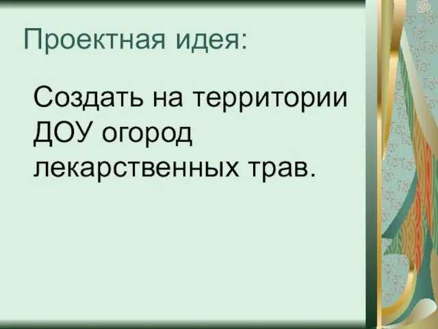 Проектная идея: Создать на территории ДОУ огород лекарственных трав.