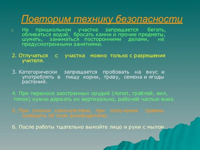 Повторим технику безопасности На пришкольном участке запрещается бегать, обливаться водой, бросать камни