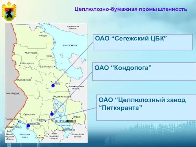 Целлюлозно-бумажная промышленность ОАО “Сегежский ЦБК” ОАО “Целлюлозный завод “Питкяранта” ОАО “Кондопога”